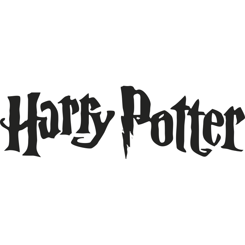 Harry Potter Store